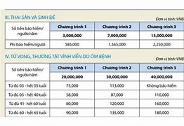 Bảo Hiểm Phúc An Sinh Của Pti